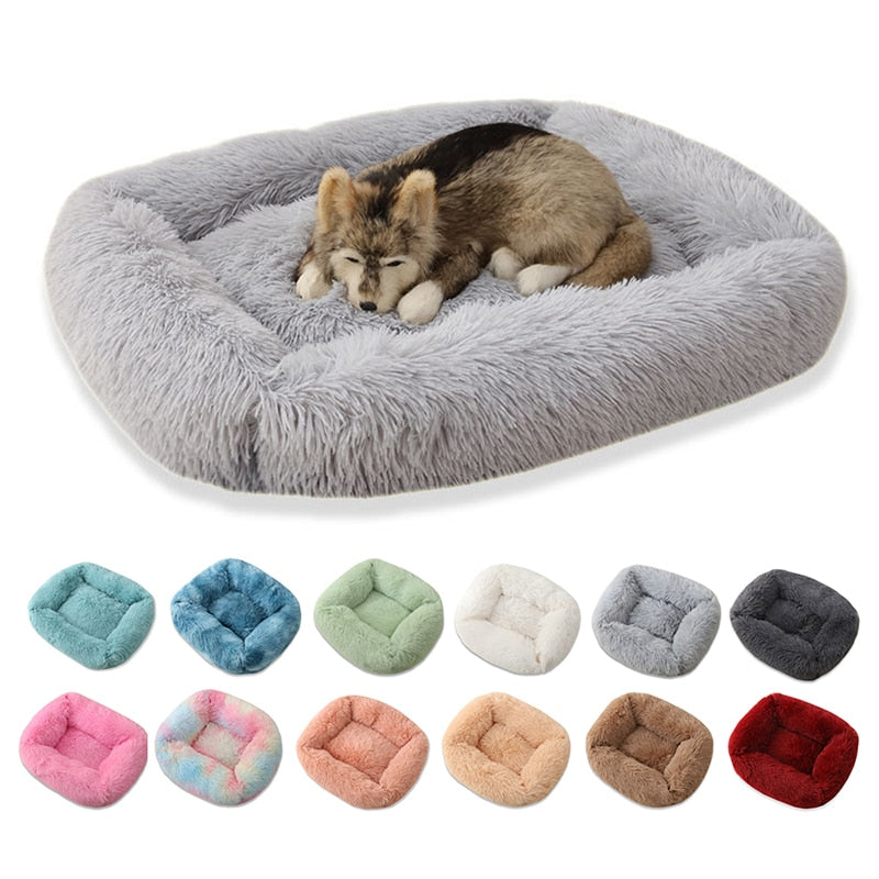 Cama para Cachorros e Gatos -Plush-Baruc Show